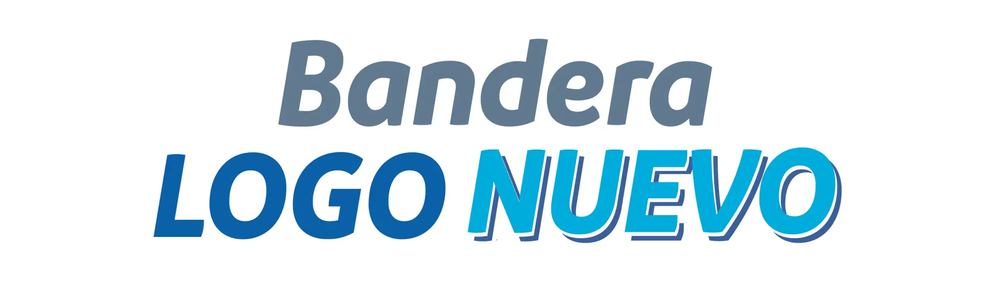 Bandera LOGO NUEVO
